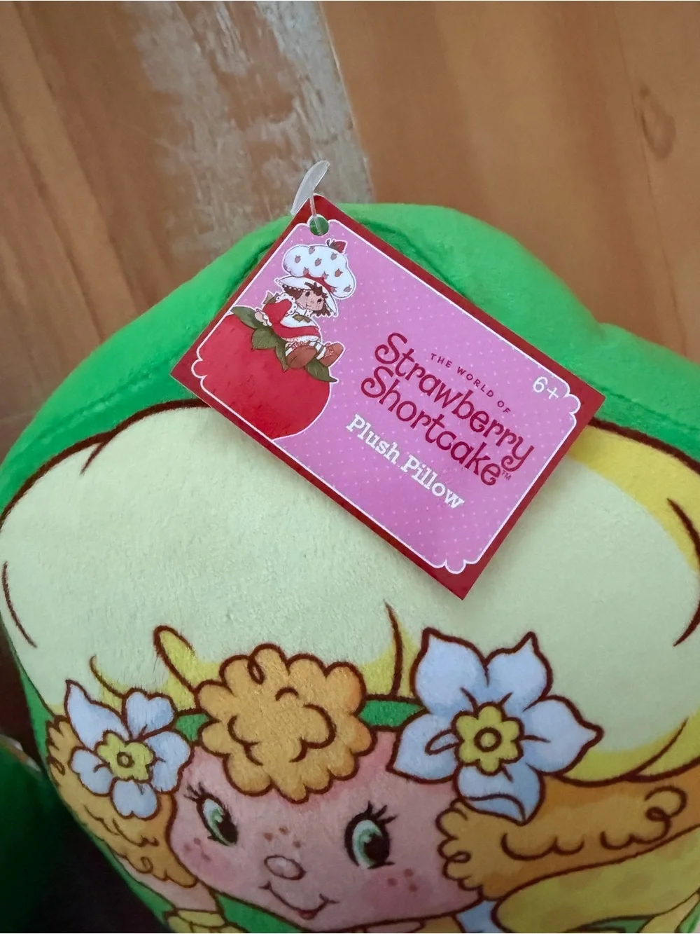 Strawberry Shortcake Orange Blossom & Lemon Meringue Pillow Set NWT 9.5”